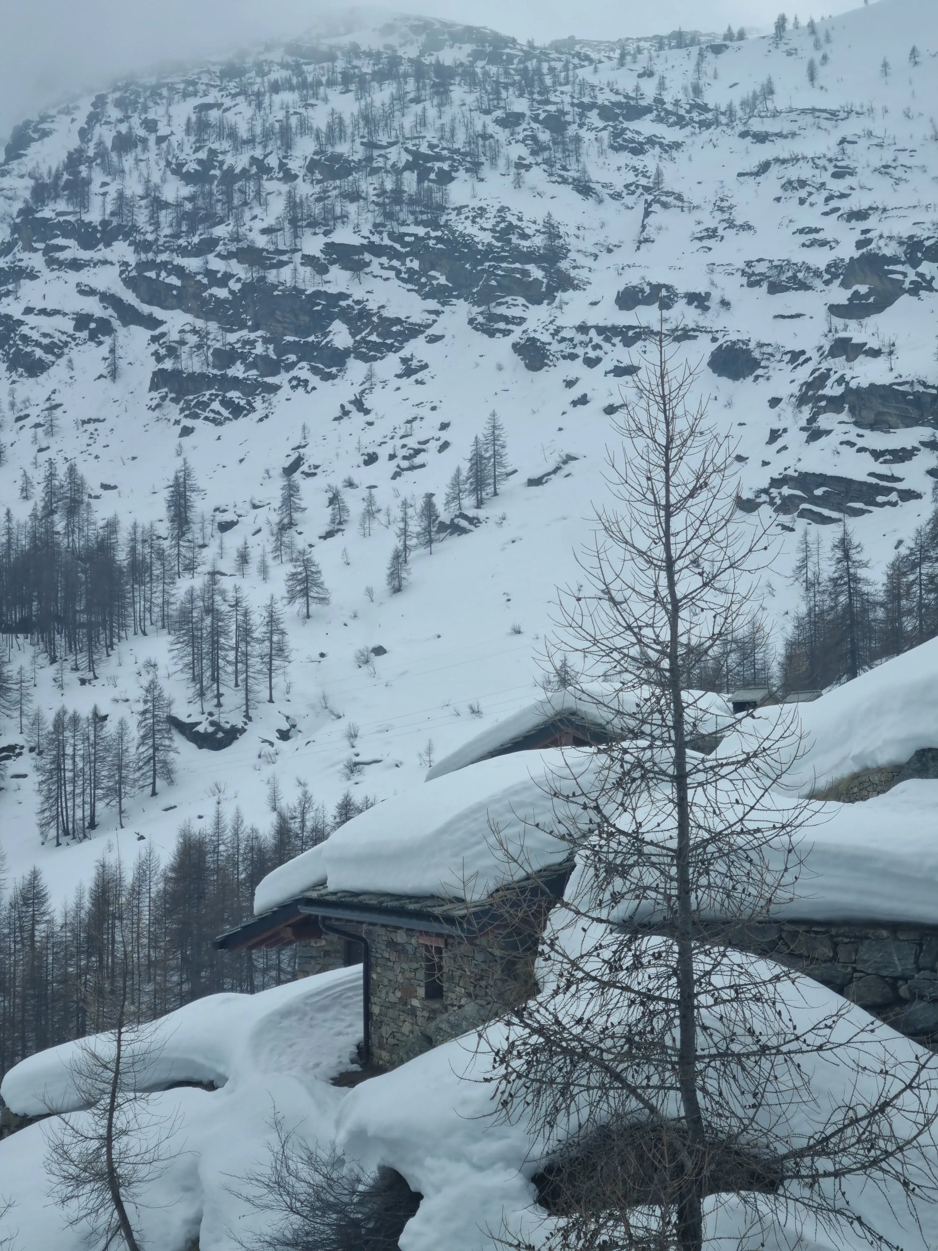 Mountain hut in an Alpine setting